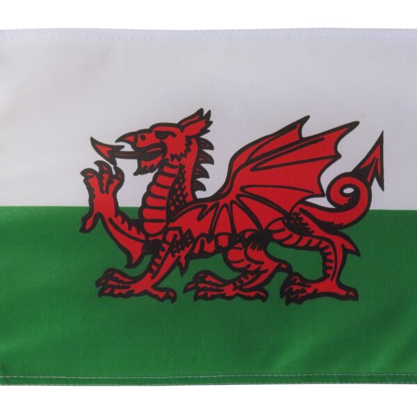 Pin Hole Flags Thumbnail